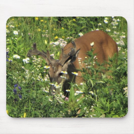 春の庭を拾い読みするスパイクの木びき台 マウスパッド (正面)