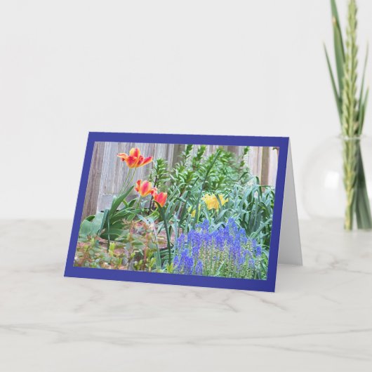春の庭色カード カード (正面)