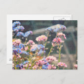 春の庭 ポストカード (正面/裏面)