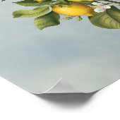 春の恵み：レモンツリーの花 ポスター (角)