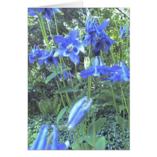 春の成長するオダマキ（植物）