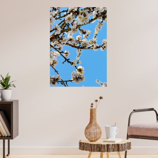 春の抱擁：青空に白い花 ポスター (リビング3)