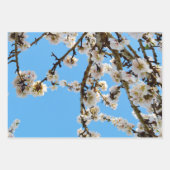 春の抱擁：青空に白い花 ラッピングペーパーシート (正面)