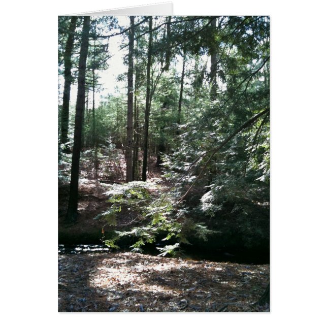 春の散歩 (正面)