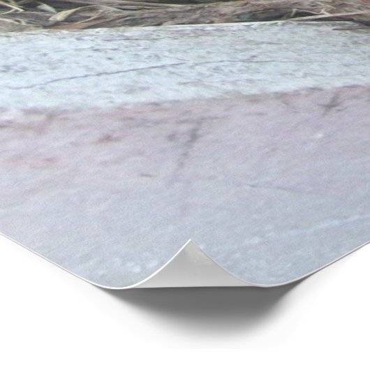 春の新しい誕生 ポスター (角)