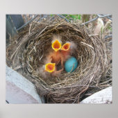 春の新しい誕生 ポスター (正面)