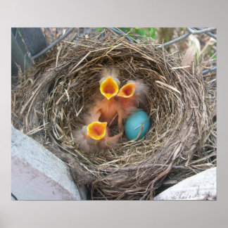 春の新しい誕生 ポスター