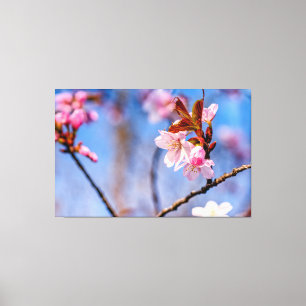 春の新鮮な桜の花の愛らしさ キャンバスプリント