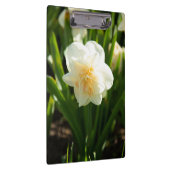 春の日に咲く大きな白い水仙 クリップボード (右)