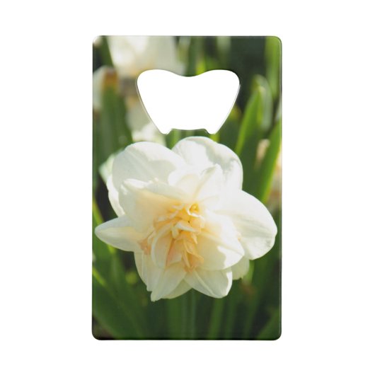 春の日に咲く大きな白い水仙 クレジットカード栓抜き (正面)