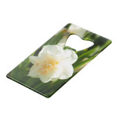 春の日に咲く大きな白い水仙 クレジットカード栓抜き (裏面アングル)