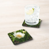 春の日に咲く大きな白い水仙 コースター (右側)