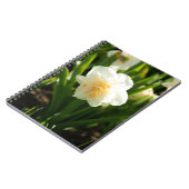 春の日に咲く大きな白い水仙 ノートブック (左側)