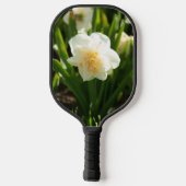 春の日に咲く大きな白い水仙 ピックルボールラケット (裏面)