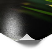 春の日に咲く大きな白い水仙 フォトプリント            (角)