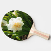 春の日に咲く大きな白い水仙 卓球ラケット (横)