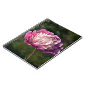 春の日に大きなピンクの牡丹の花 ノートブック (左側)