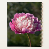 春の日に大きなピンクの牡丹の花 プランナー手帳 (裏面)