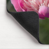 春の日に大きなピンクの牡丹の花 マウスパッド (コーナー)