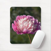 春の日に大きなピンクの牡丹の花 マウスパッド (マウス)