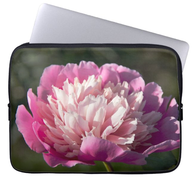 春の日に大きなピンクの牡丹の花 ラップトップスリーブ (正面)