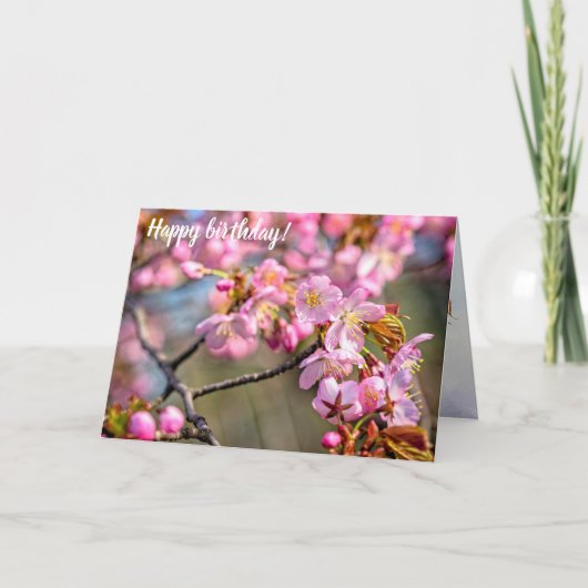 春の日に桜の花の明るい滝 カード (正面)