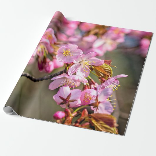 春の日に桜の花の明るい滝 ラッピングペーパー (アンロールド)