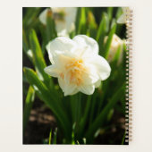 春の日を彩る大きな白い水仙 プランナー手帳 (裏面)