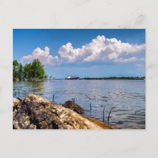 春の日ミシシッピ川 ポストカード (正面)