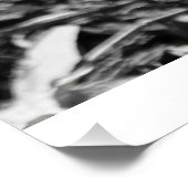 春の早い時期の花粉採取 ポスター (コーナー)