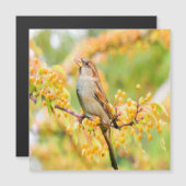 春の時間の矢印 (正面/裏面)