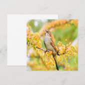 春の時間の矢印 (正面/裏面)