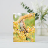 春の時間の矢印 ポストカード (スタンド正面)