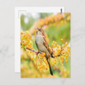 春の時間の矢印 ポストカード (正面/裏面)