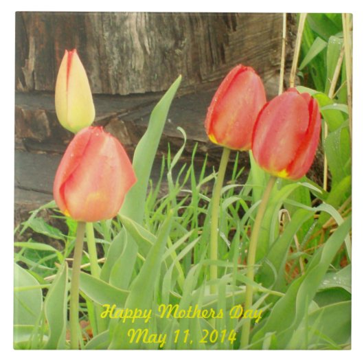 春の時間2マザーズ日タイル タイル (正面)