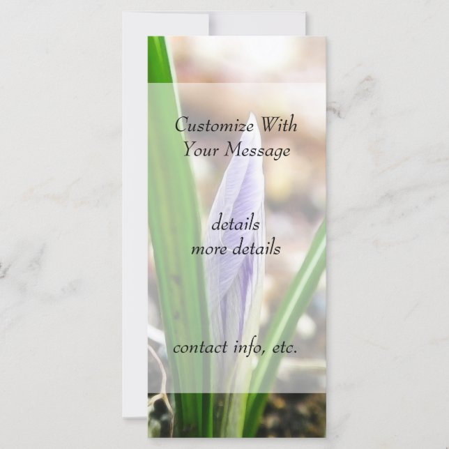 春の時間！クロッカスバド (正面)