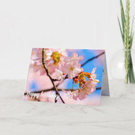 春の暖かい日にピンクの桜の花を咲かせる カード