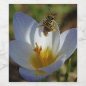 春の最初シンボルや象徴 ワインラベル (シングルラベル)