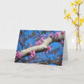 春の最初日 カード (黄色い花)