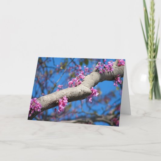 春の最初日 カード (正面)