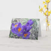 春の最初開花 カード (黄色い花)