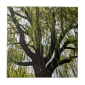 春の期待は抑えられた タイル (正面)