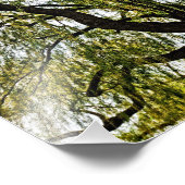 春の期待は抑えられた フォトプリント            (角)