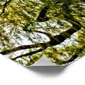 春の期待は抑えられた ポスター (角)