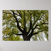 春の期待は抑えられた ポスター (正面)