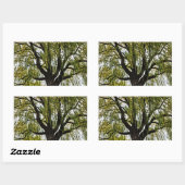 春の期待は抑えられた 長方形シール (シート)