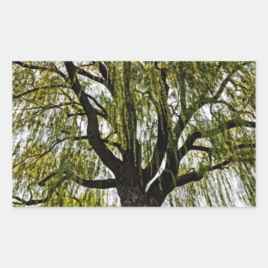 春の期待は抑えられた 長方形シール (正面)