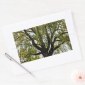 春の期待は抑えられた 長方形シール (封筒)