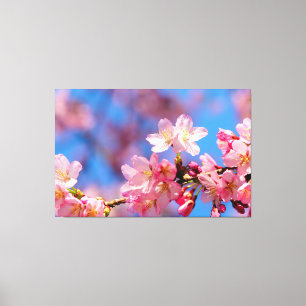 春の木に咲くピンクのサクラの花 キャンバスプリント