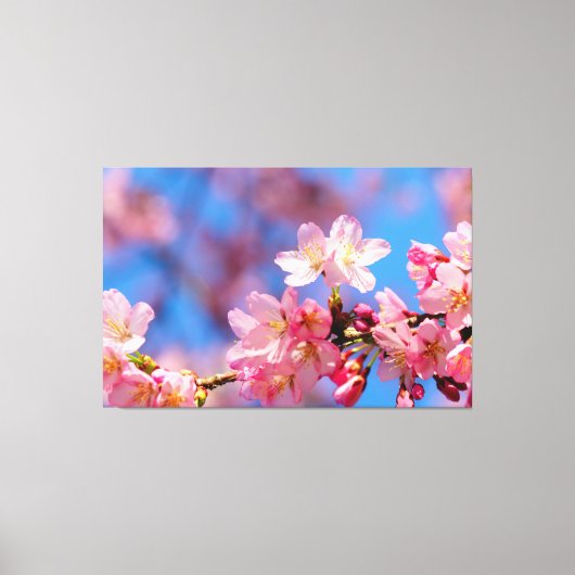 春の木に咲くピンクの桜の花 キャンバスプリント (正面)